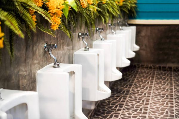 Urinals in men's bathrooms today often have a shelf on top for placing decorative flowers, such as colorful shrubs or potted plants, to create a more pleasant atmosphere in the bathroom.