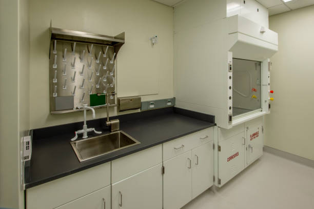 Sink and fume hood for a research laboratory